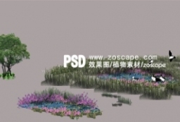 园林景观效果图-滨水地被花灌木植物分层PSD素材 to 园林景观设计意向图库-园林景观学习网