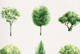 一组水彩风格园林乔木灌木PSD分层景观效果图素材 to 园林景观设计意向图库-园林景观学习网