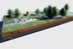 PSD湿地公园轴测图-雨水花园景观剖面图 to 园林景观设计意向图库-园林景观学习网