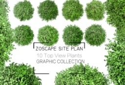 海外精品2D Top View Plant平面图植物素材集下载 to 园林景观设计意向图库-园林景观学习网