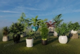 精品资源-10款Lumion室内植物绿植精品模型 to 园林景观设计意向图库-园林景观学习网