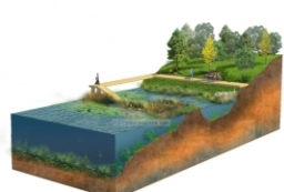 湿地公园亲水型驳岸景观设计-水生生物园驳岸PSD剖面图 to 园林景观设计意向图库-园林景观学习网