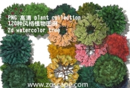 PNG贴图-高清手绘水彩风格植物图例-线稿+上色 to 园林景观设计意向图库-园林景观学习网